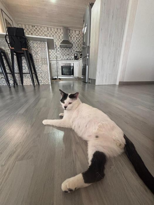 Rufus