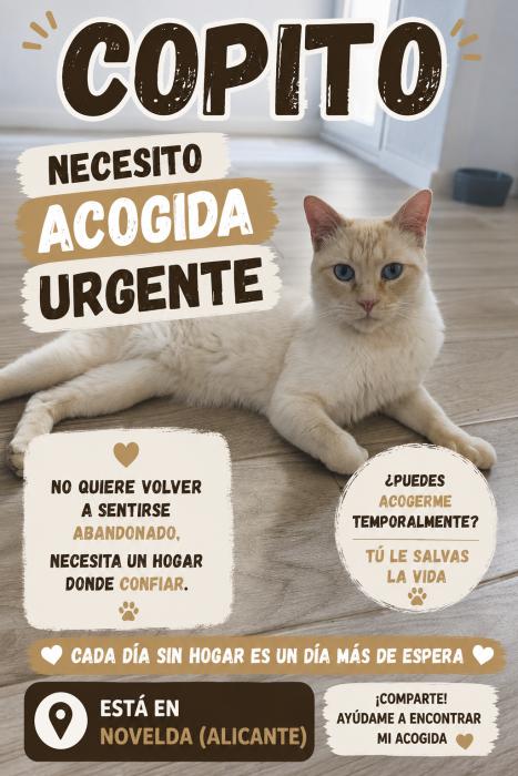 ACOGIDA URGENTE - NOVELDA