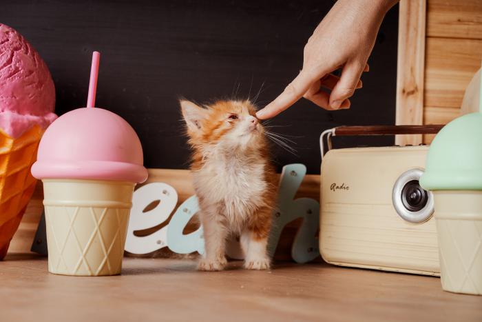 Oliver