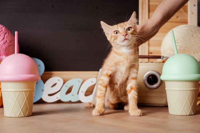 Leo