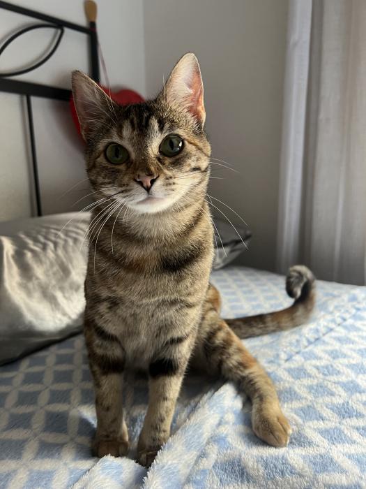 Frida
