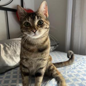 Frida
