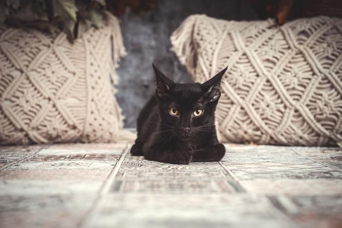 TITO