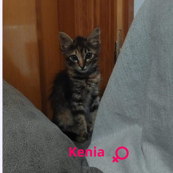 Kenia