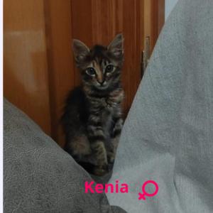 Kenia