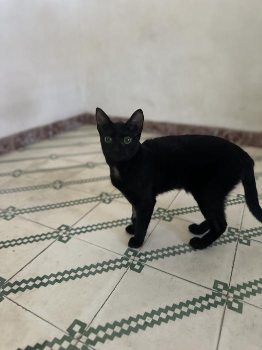 Tinta 