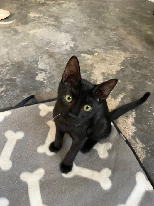Luna