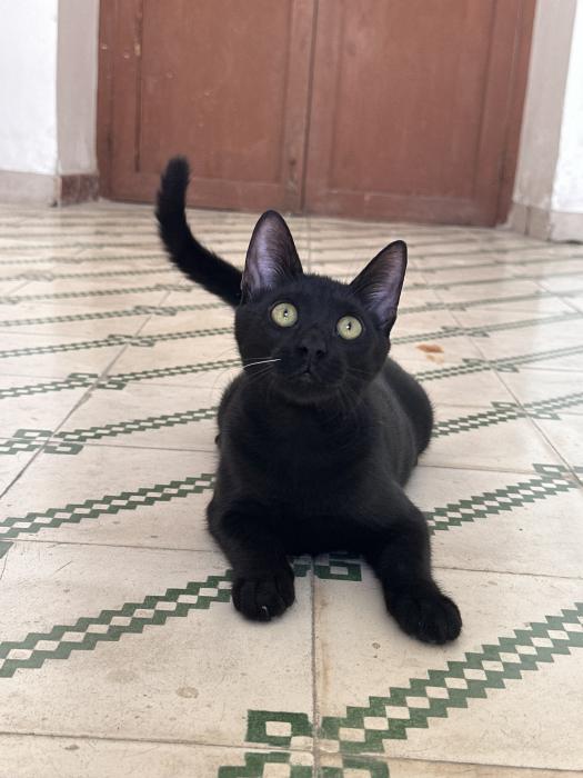 Luna
