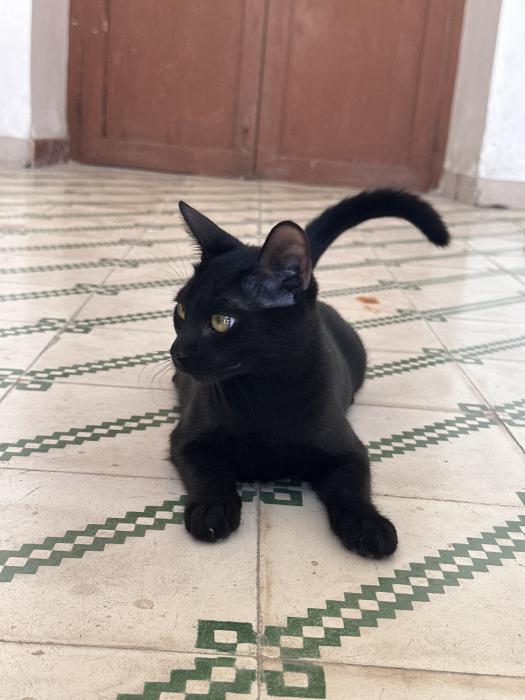 Luna