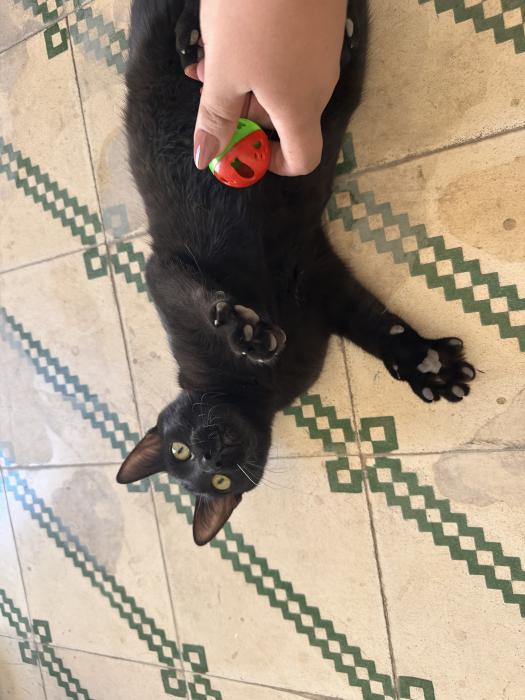 Luna