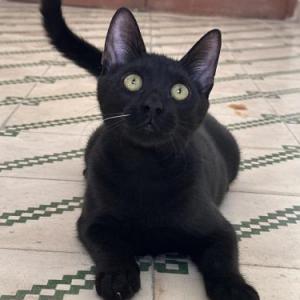 Luna