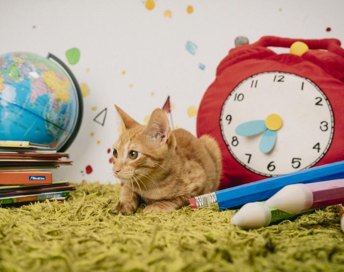 Limón (3 meses)